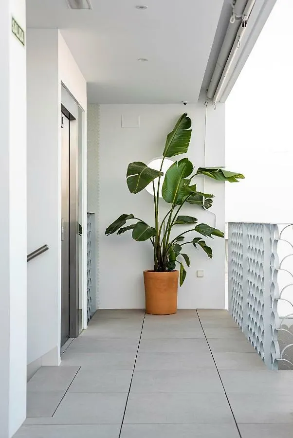 Apartamentos y estudios céntricos Conil Home Suite Conil De La Frontera 3*,  España