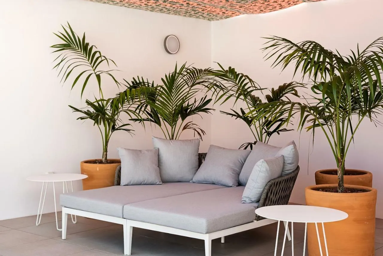 Apartamentos Y Estudios Centricos Conil Home Suite Conil De La Frontera Aparthotel